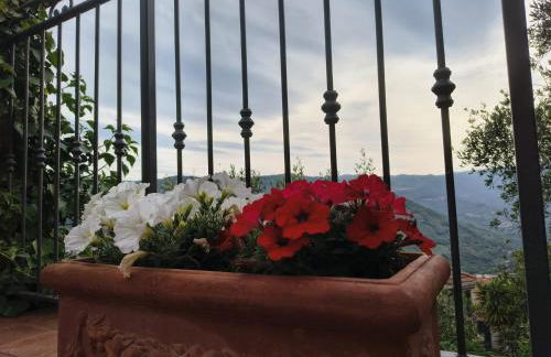 La casetta di Dora - Photo 43