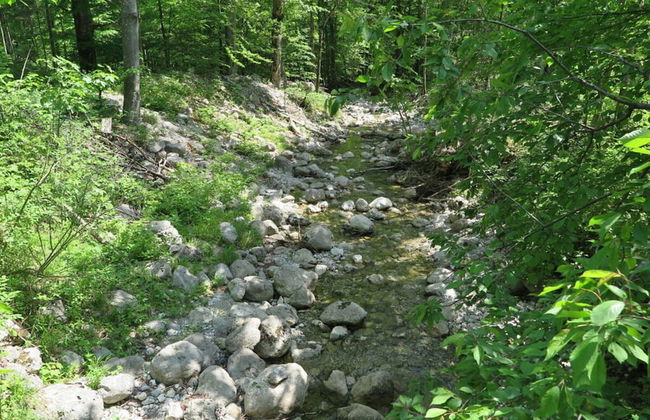 Nagelsmederij in het Huis Waldwinkel - Foto 32