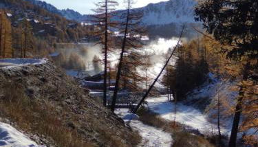 LES CHATAIGNIERS GRIS - Foto 5