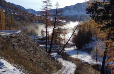 LES CHATAIGNIERS GRIS - Photo 5