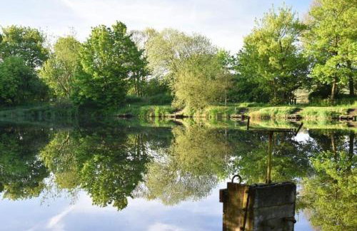 Goldie's Retreat - Foto 12