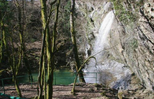 Apartments Šterna - Foto 43