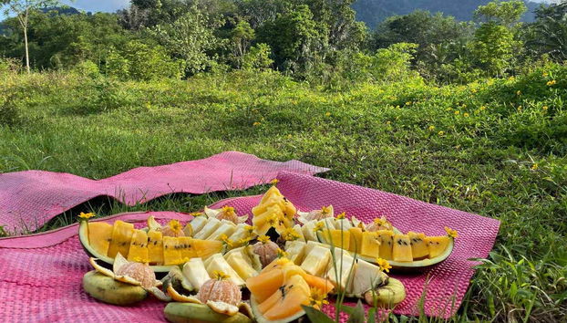 Pique-nique dans la jungle