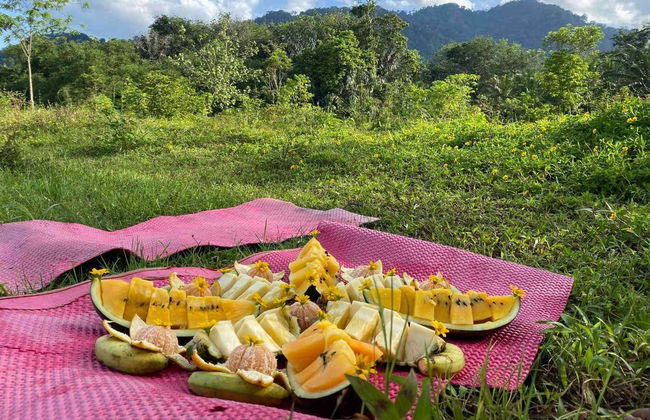 Observation d'orangs-outans à Gunung Leuser en 3 à 4 jours - Photo 5