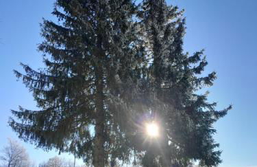 Ferienwohnung Marina in Sankt Englmar, Bayerischer Wald, familienfreundlich - Foto 24