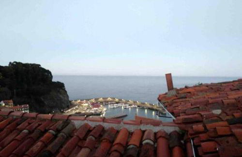 Pexe na mar - Foto 31