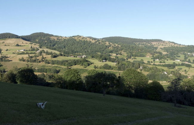 Classy Apartment in Soultzeren - Photo 10