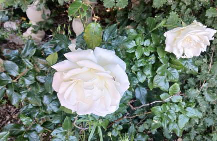 Appartement T1 climatisé en campagne - Foto 23