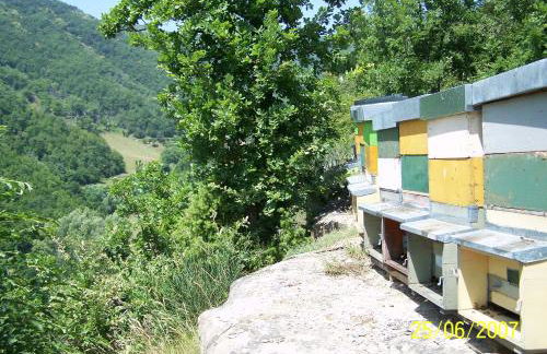 Agriturismo PEDROSOLA - Photo 40