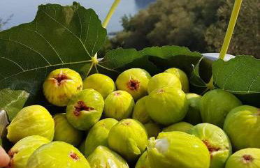 casa paola - Foto 61