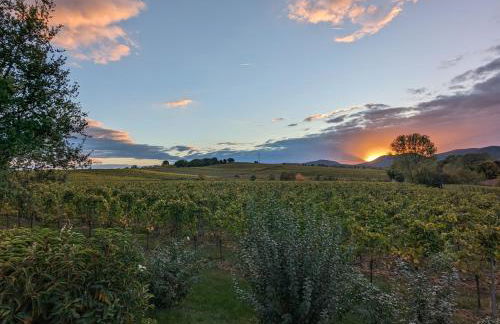 Ferienwohnungen Bella Vita - Foto 41