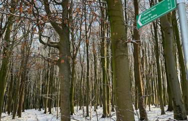 Landhaus „Blattgold“ - Foto 10