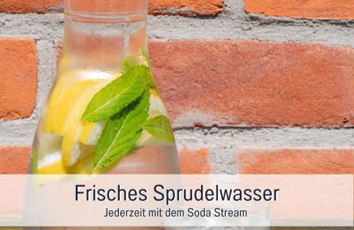 RamosHansenHof Fewo Hofglück 4Pers mit Hund - Foto 17