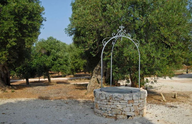 Olive Oil Tasting - Foto 6