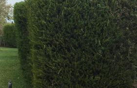 Casa vacanze Sant'Antioco - Foto 34