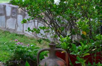 Mirsini Apartments - Foto 52