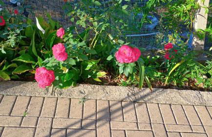 Refúgio na Serra Gaúcha - Foto 18