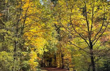 Gästehaus Ute Müller - Foto 36