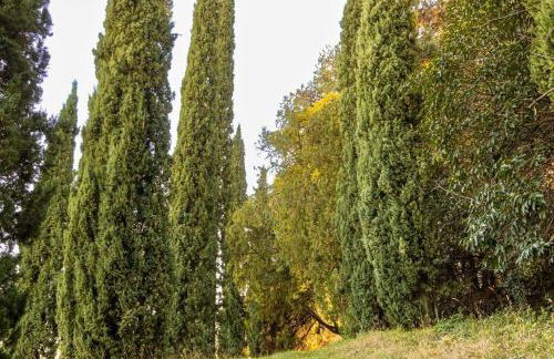 Villa Col di Luna-ProseccoHills - Foto 70