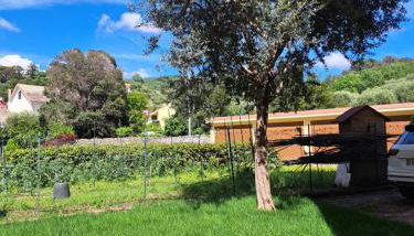 La casetta al mare di Bubi - Foto 5, Garden