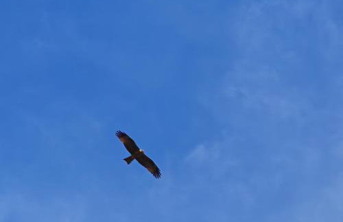 Montana-Camping-Fayon - Foto 6