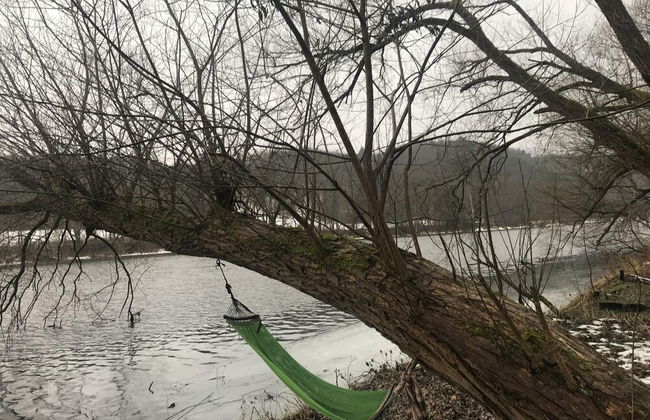 Sazava River Cottage With Boating Experience - Foto 16