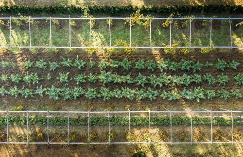 Boutique Wine Resort - Villa Dianella - Foto 38