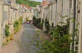 L'arbrissel - Photo 19