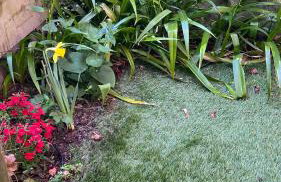 Garden Suite - Foto 20