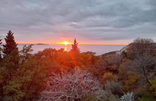 Apartments Neonila - Foto 13