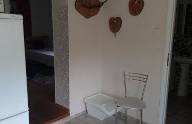 Pokoje w lesie - Foto 6