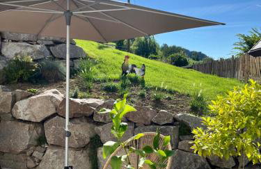 Panorama Ferienwohnung Horben - Foto 32