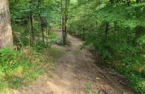 Echo Valley Outdoor Oasis Campsite - Foto 47