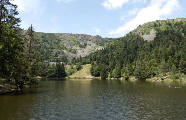 Classy Apartment in Soultzeren - Photo 3