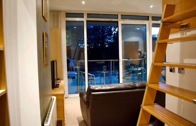 Minimal Studio With Views Over Battersea Park - Foto 5