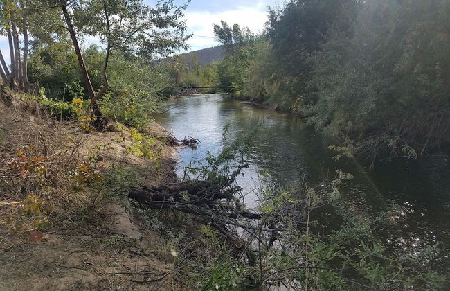 Castle Gate RV Park - Foto 16