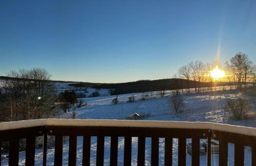 Luxus Ferienhaus Erzgebirge in Alleinlage - Foto 27