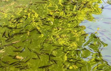 The Annexe at Fishponds - Photo 28