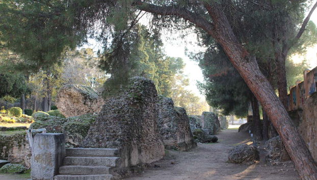 Visita guiada pelo circo romano de Toledo - Foto 5, Daremos um passeio entre os vestígios do sítio arqueológico