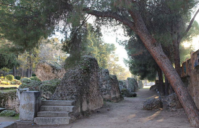 Visita guidata del circo romano di Toledo - Foto 5