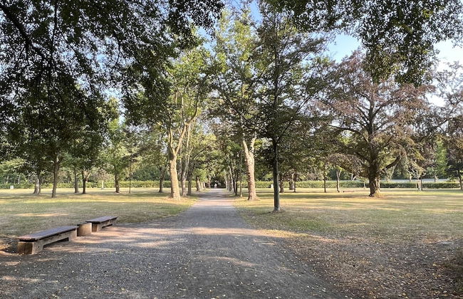 Ferienwohnung König Georg - Foto 24