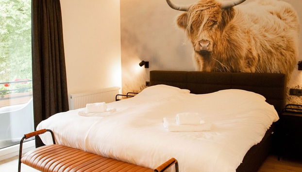 Modern Flat in Niedersfeld - Foto 2, Habitación