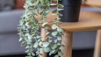 Studio Victor 105 - Chic & Chaleureux - Foto 3