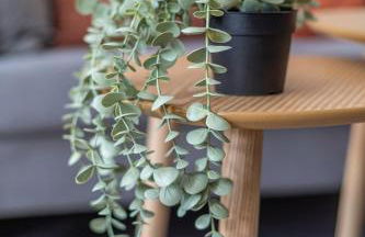 Studio Victor 105 - Chic & Chaleureux - Foto 3