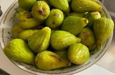 Villa Mercedes - Photo 21