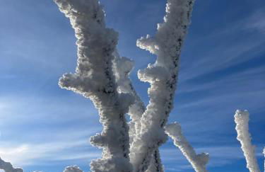 Mühlbergidyll - Photo 18