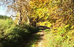 Apartment mit Gartenblick - Foto 24