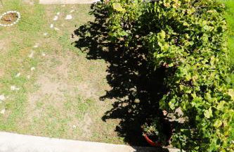 Private Villa AKOBARA, 2km from city center - Foto 26