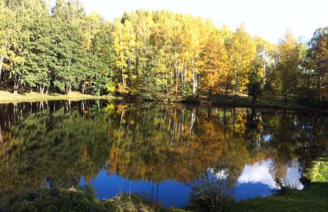 Forest Escape With Garden - Foto 35