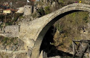 Mountain Serenity - Foto 12